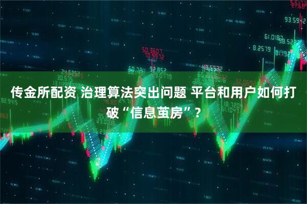 传金所配资 治理算法突出问题 平台和用户如何打破“信息茧房”？