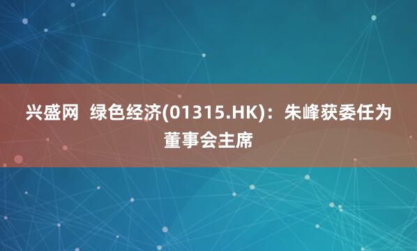 兴盛网  绿色经济(01315.HK)：朱峰获委任为董事会主席