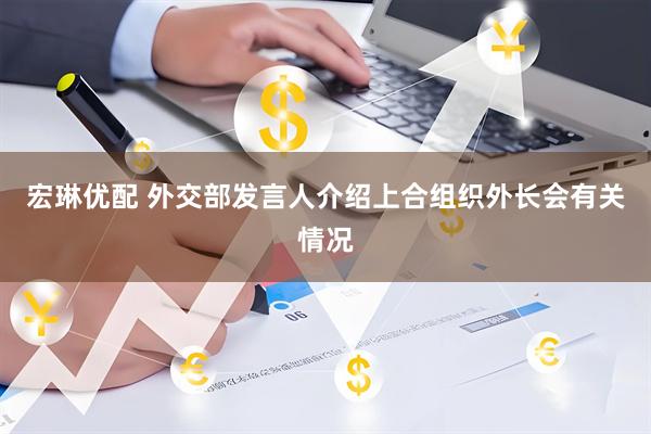 宏琳优配 外交部发言人介绍上合组织外长会有关情况