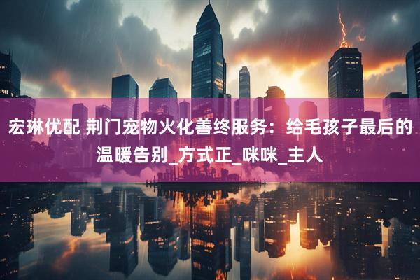 宏琳优配 荆门宠物火化善终服务：给毛孩子最后的温暖告别_方式正_咪咪_主人