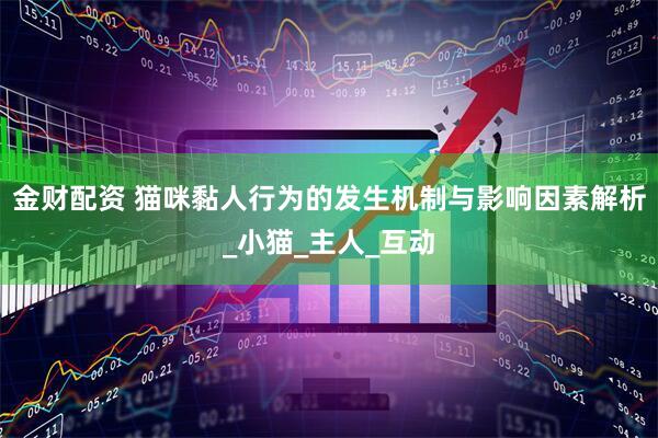 金财配资 猫咪黏人行为的发生机制与影响因素解析_小猫_主人_互动