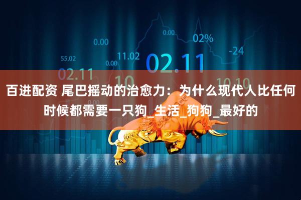百进配资 尾巴摇动的治愈力：为什么现代人比任何时候都需要一只狗_生活_狗狗_最好的