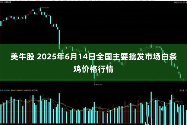 美牛股 2025年6月14日全国主要批发市场白条鸡价格行情