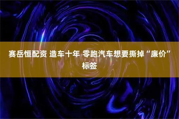 赛岳恒配资 造车十年 零跑汽车想要撕掉“廉价”标签