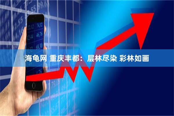 海龟网 重庆丰都：层林尽染 彩林如画