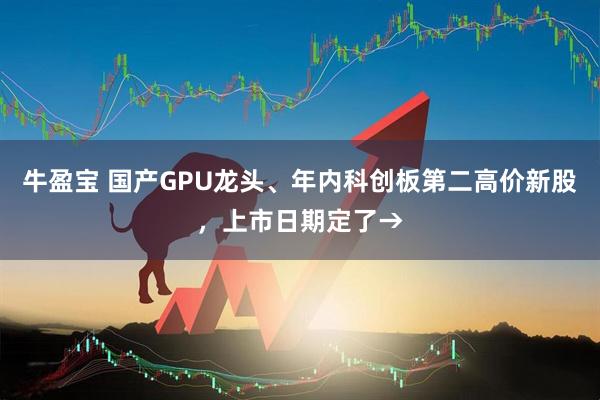 牛盈宝 国产GPU龙头、年内科创板第二高价新股,上市日期定了→
